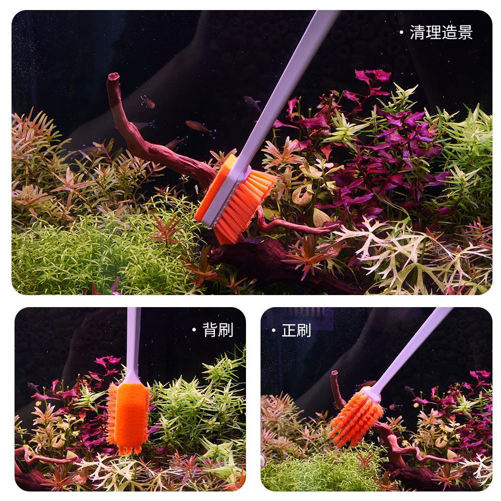 858259392564m203a5a38-4684-459