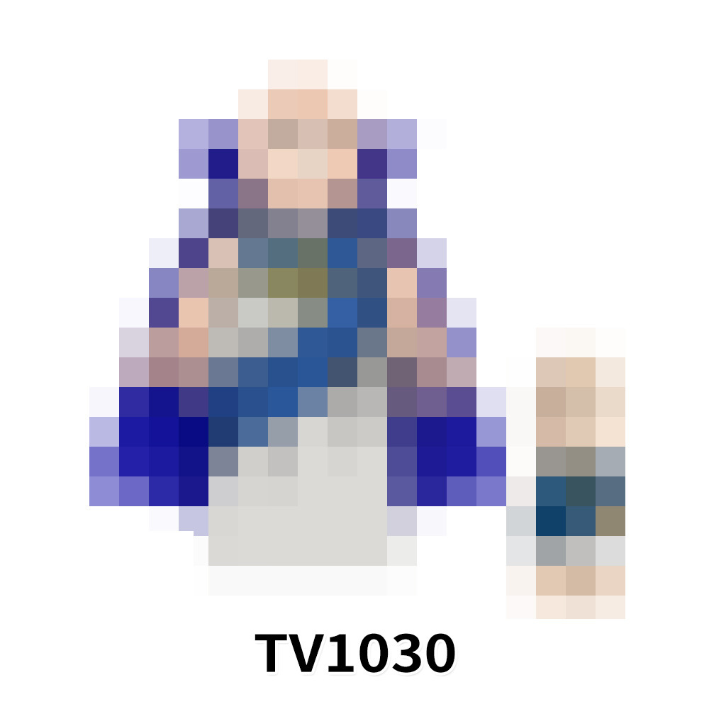 TV1030
