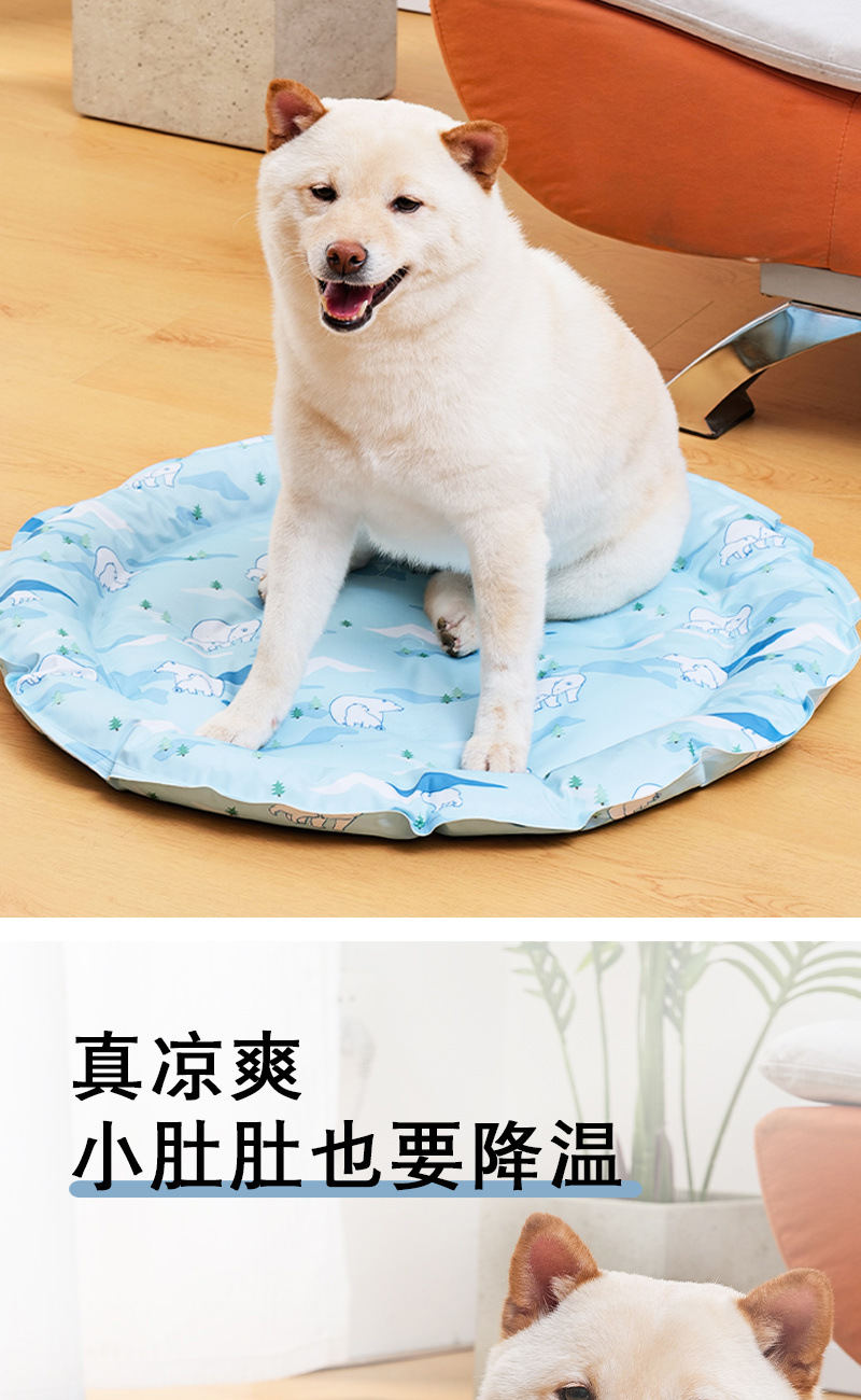 30e2409a-0f62-4199-9bd9-046f2938946c.jpe