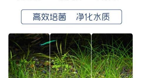 4a2d6369-9a94-4577-8133-fbc9d09a8ea0.jpe