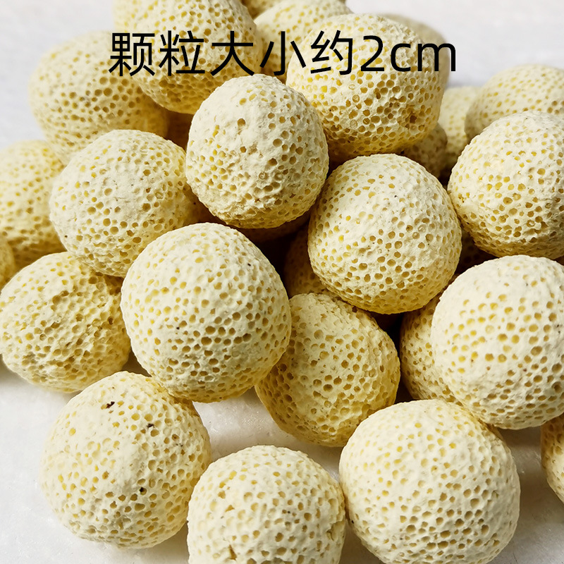 细菌球4