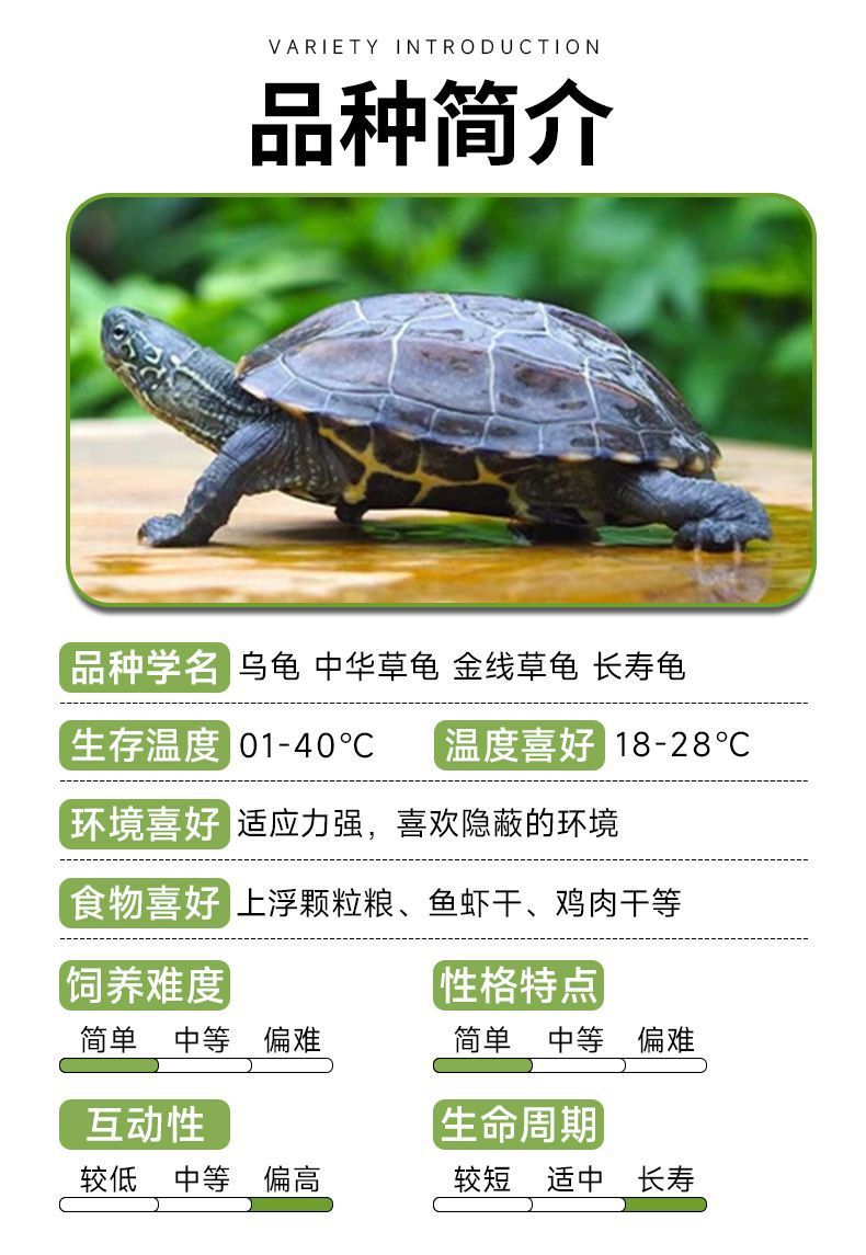3f48ed70-439a-4582-b550-da0d0525ac4c.jpe