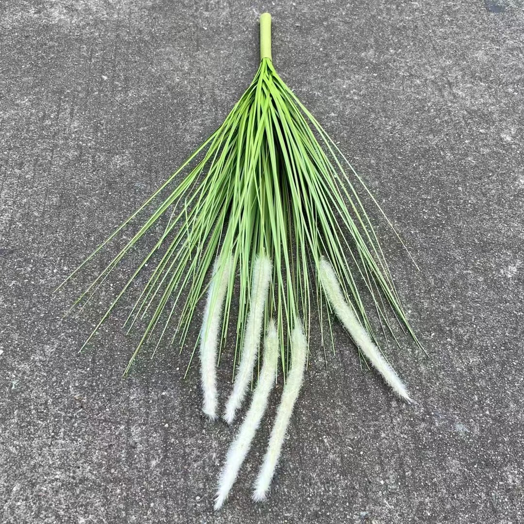 微信图片_20240412161626