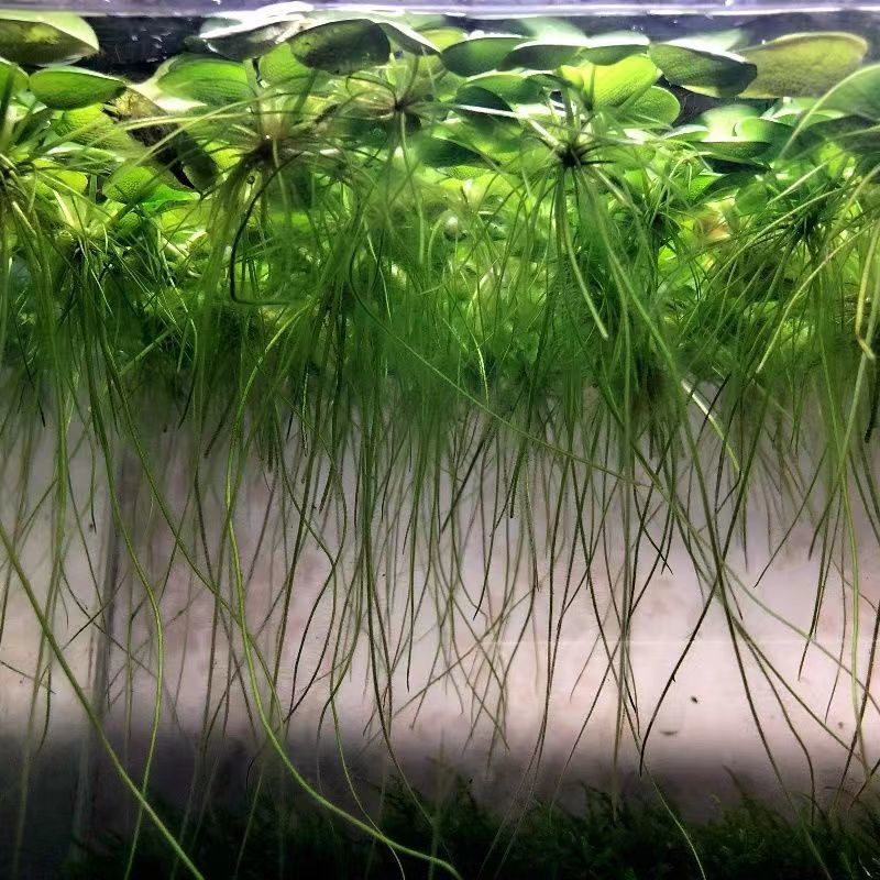 3f97b83a-4137-48ad-a8da-b7061ffd80f6.jpe