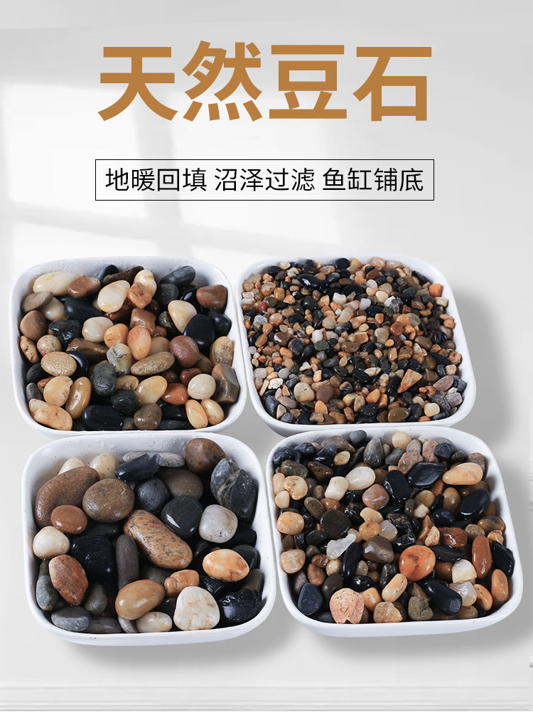 图片_02