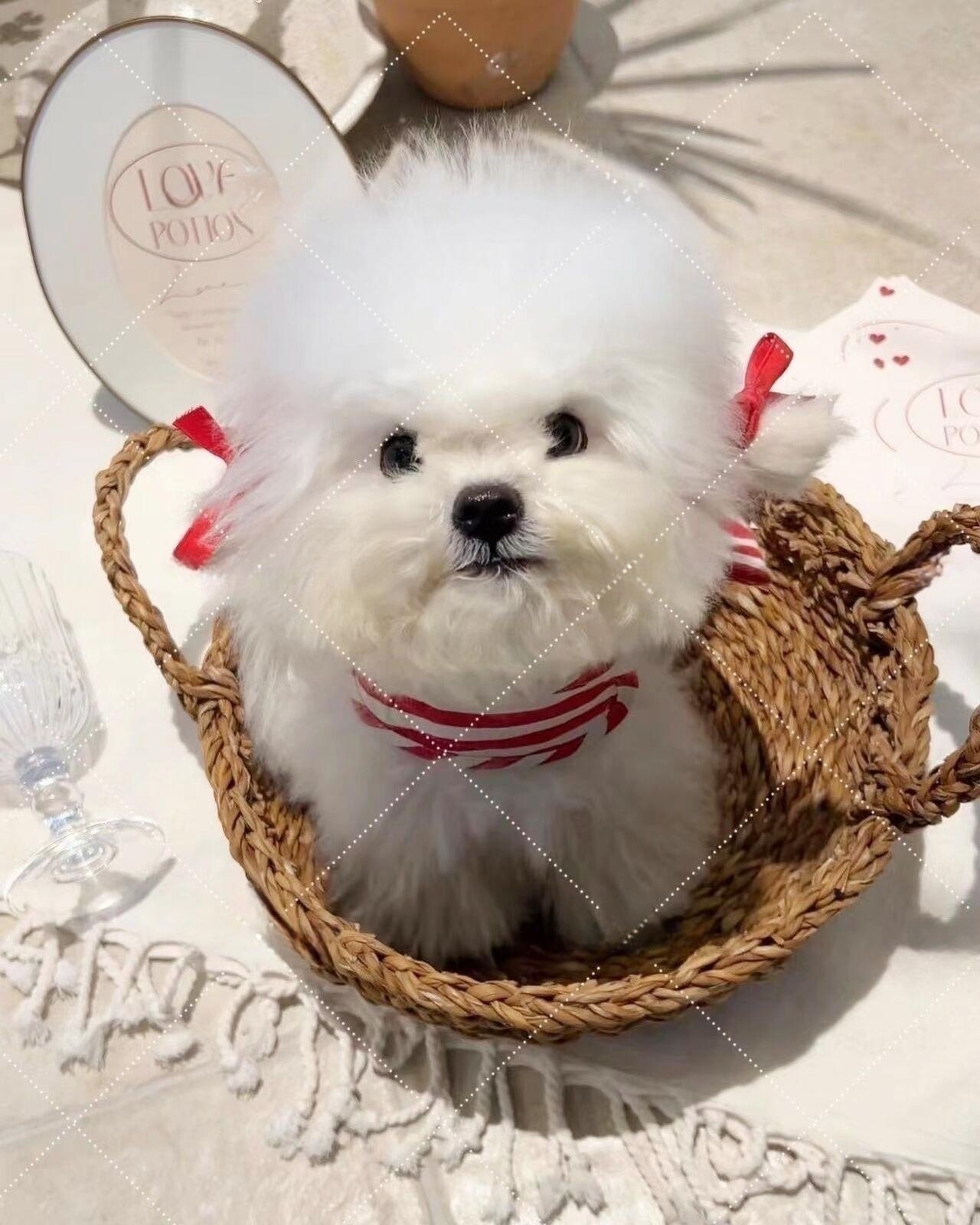 QQ图片20230807164221