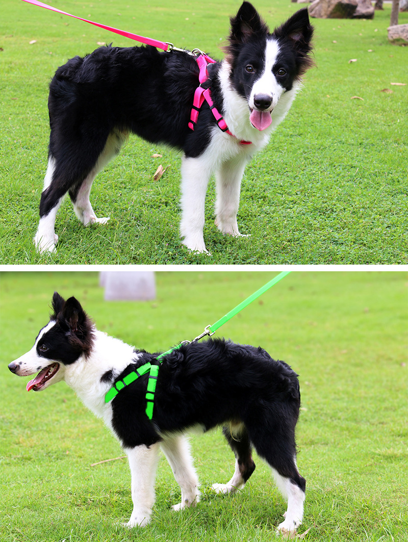 PVC纯色胸背带_09