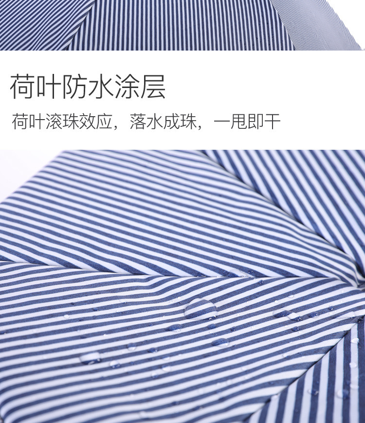 52e53789-12a5-4570-a100-e5999f3bdba8.jpg