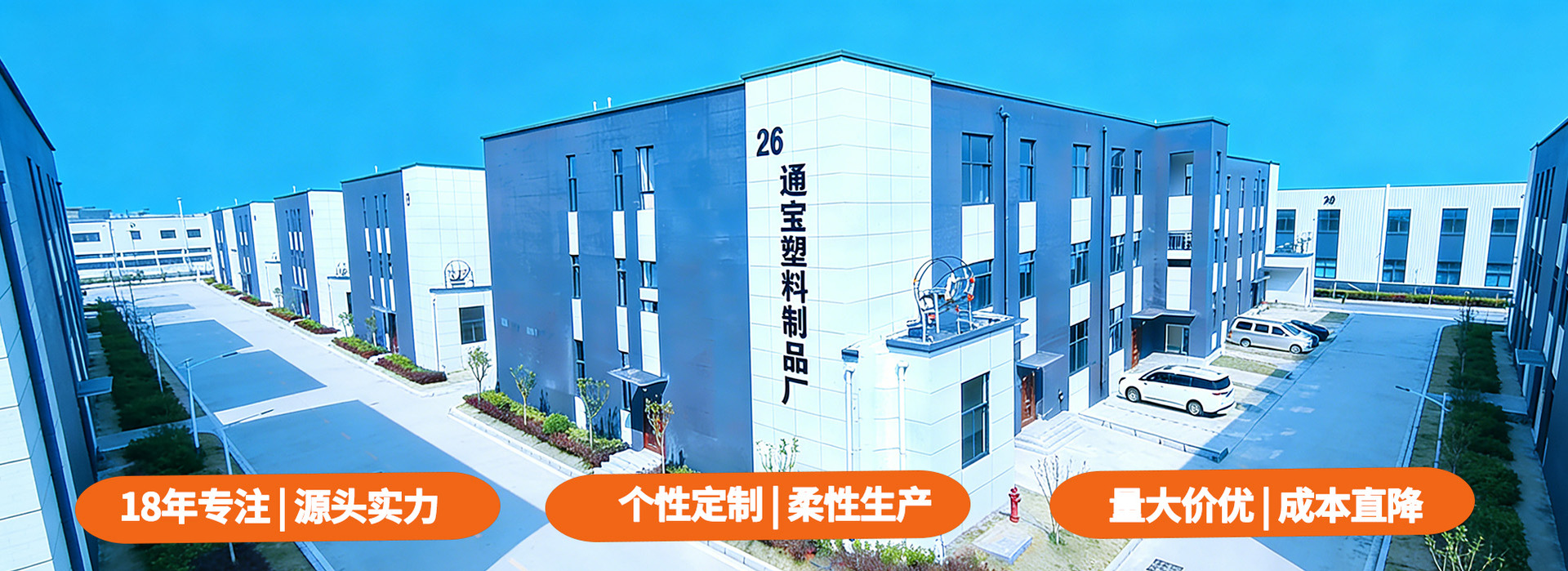 通宝网站首页2026 加文字