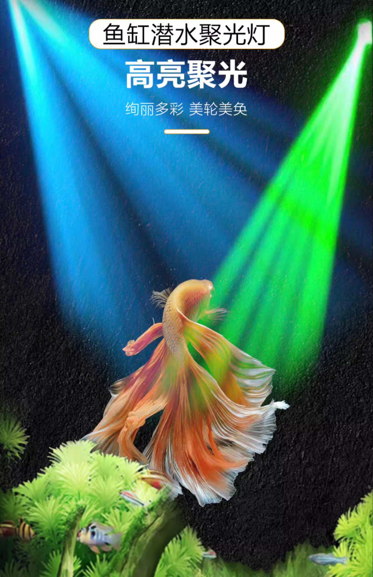 详情图_04_PC.jpg
