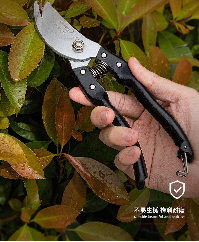 c540a913e9b21f13.jpg