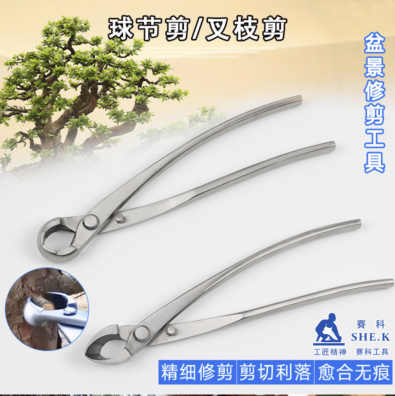 未标题-1_01.jpg