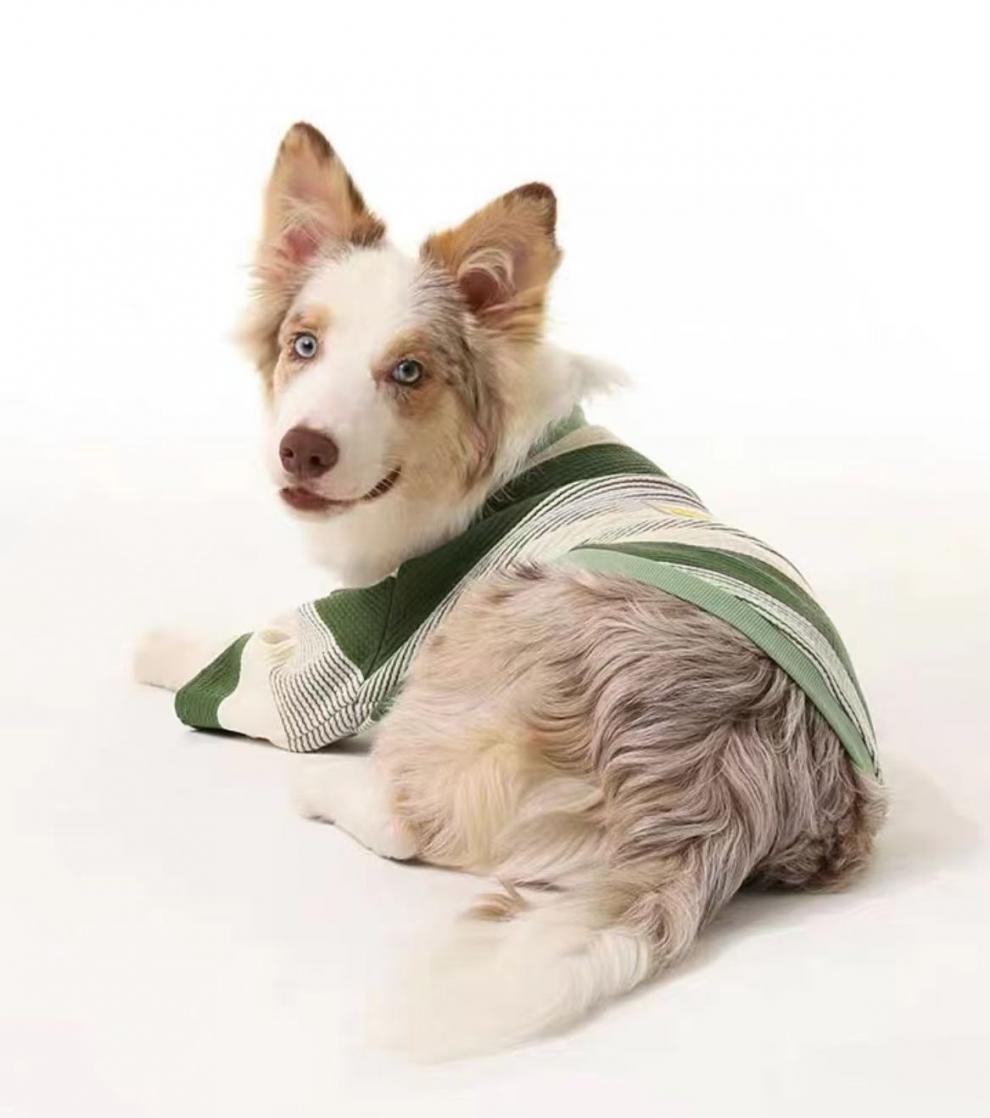 2b2ff2a7-7b63-4976-a84f-187653326c32.jpe