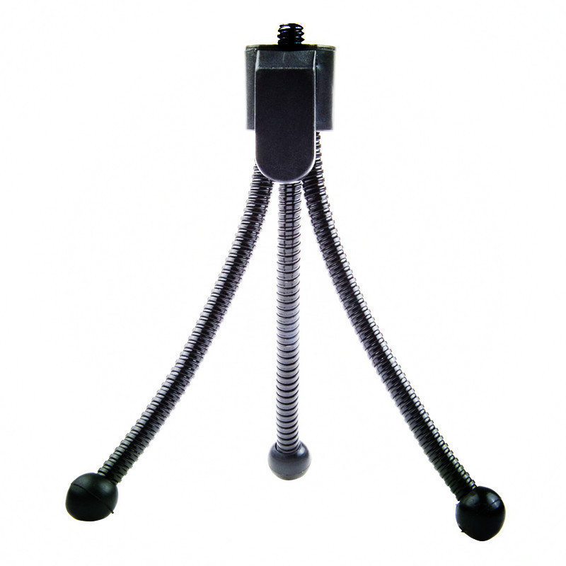 9661432169_1094422259