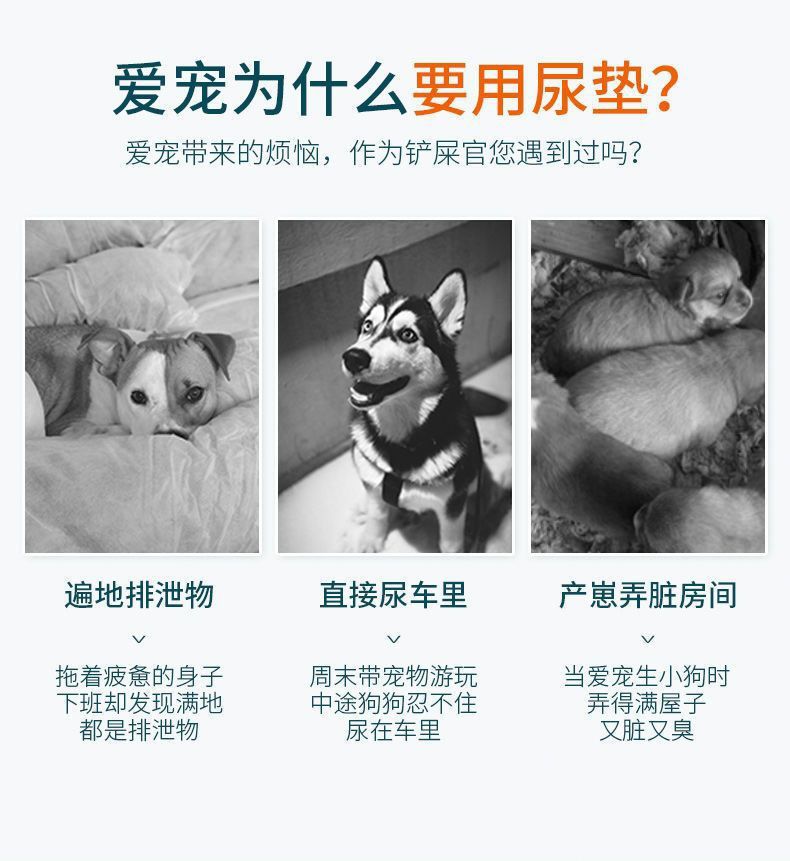 c88844f5-0542-49aa-bc16-f24db8815126.jpe