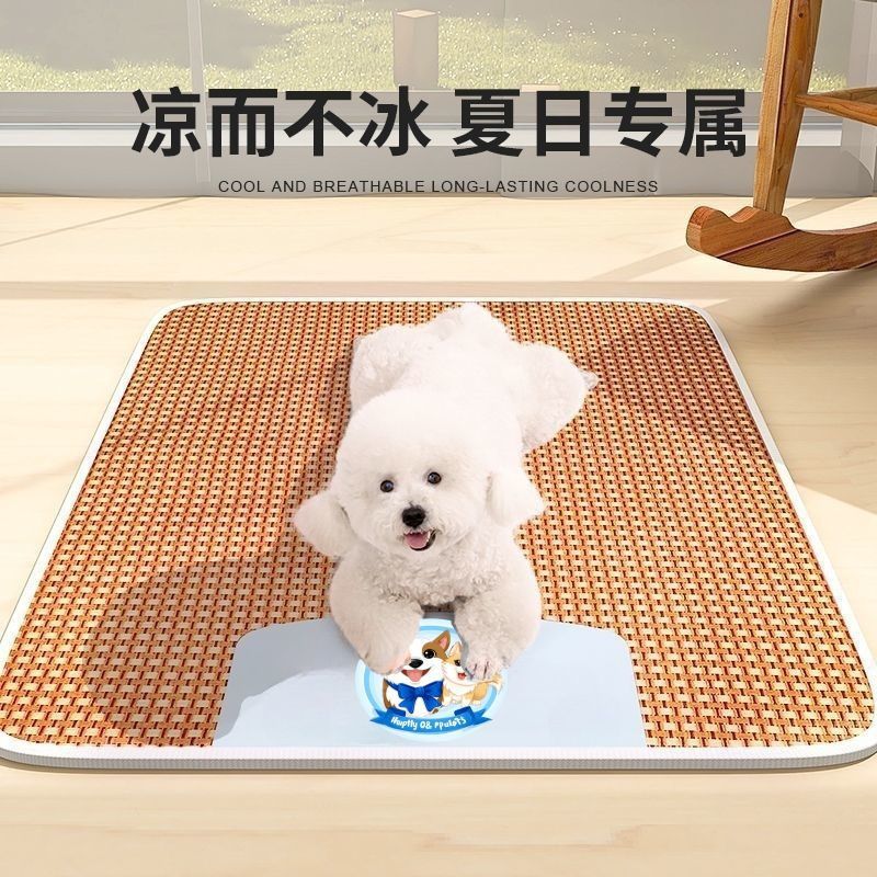 5733b3ec-1b38-4f89-82c3-29102185cf05.jpe