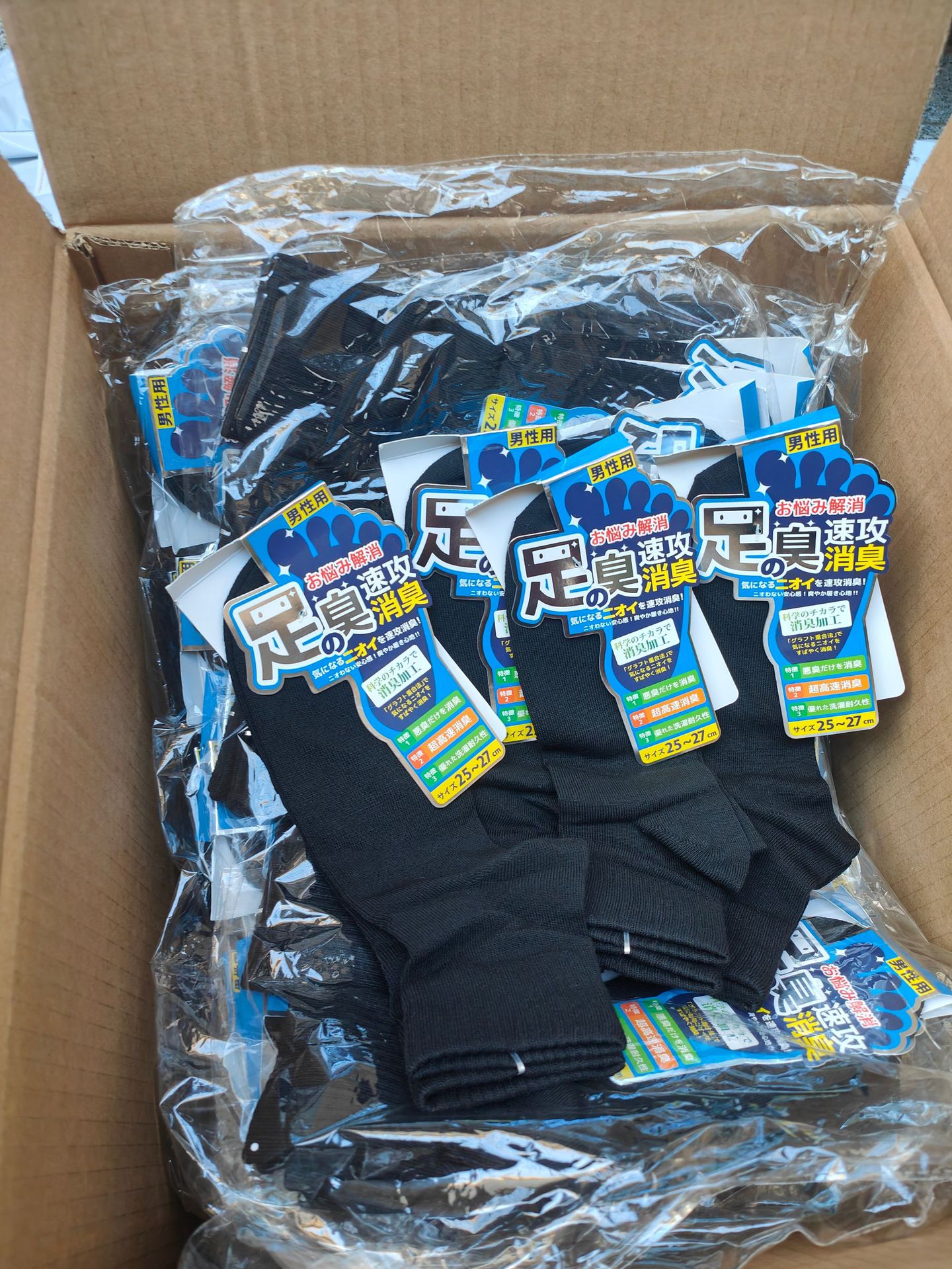 IMG20231120155956 - 副本