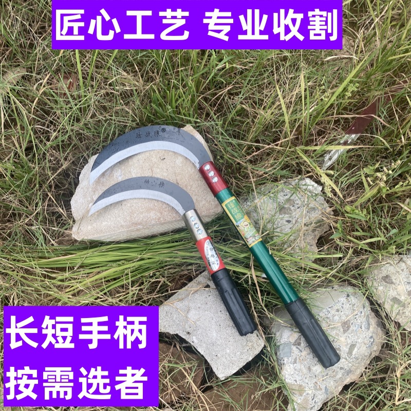 主图3