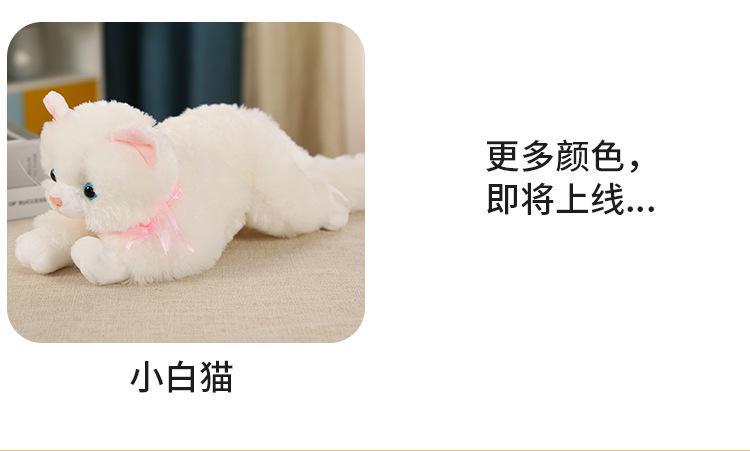 猫猫_04.jpg