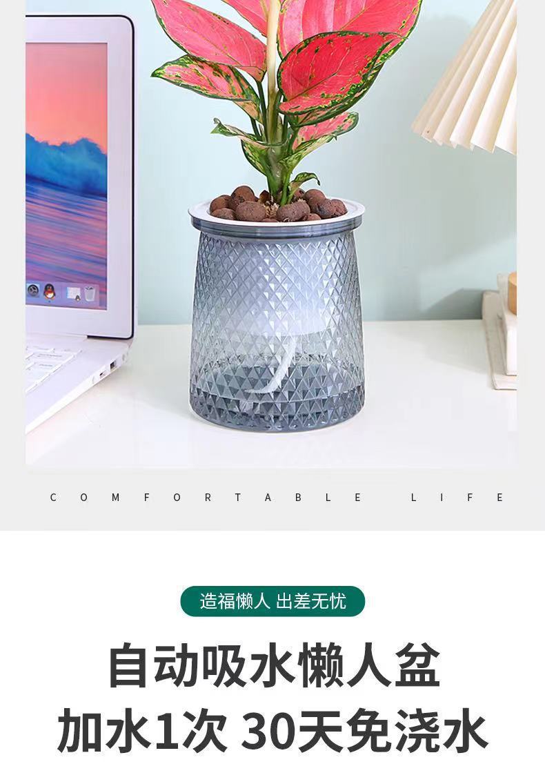 微信图片_20240113192652