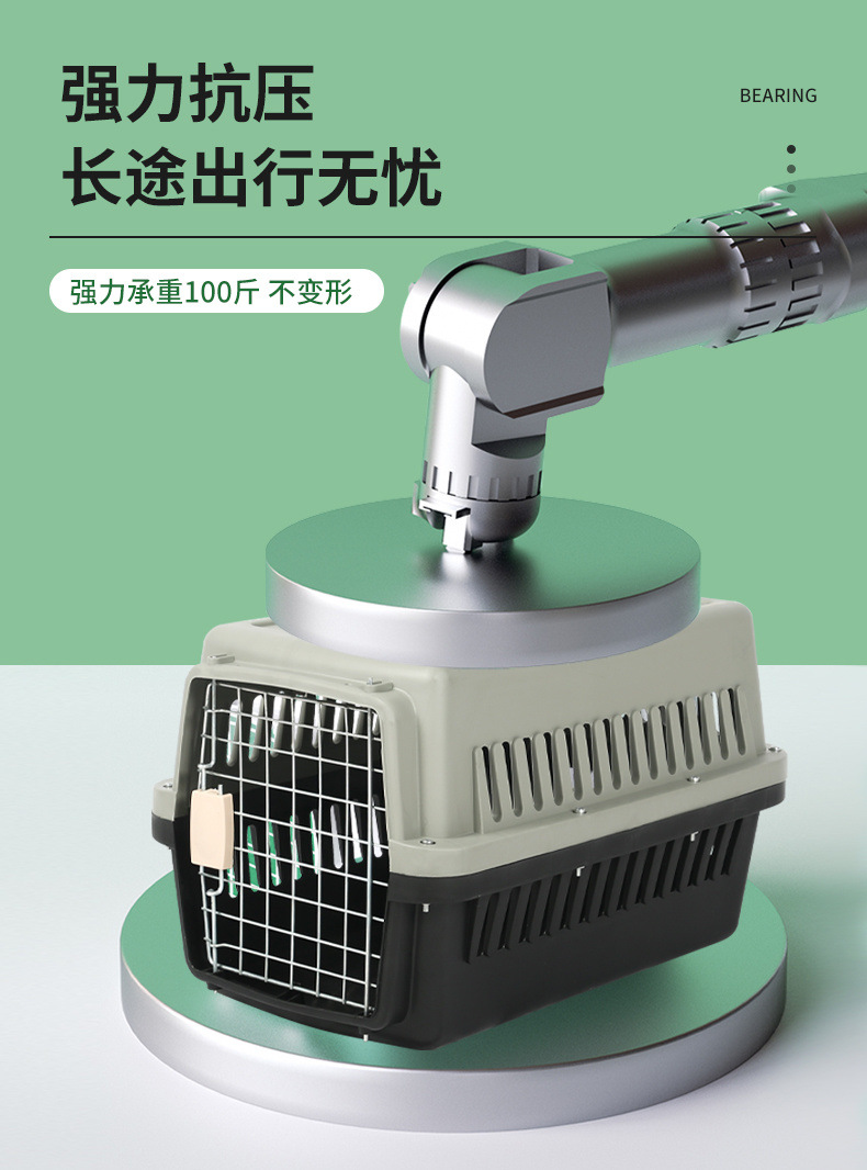 38fe9ce2-e706-42c7-acd6-eb1e94992049.jpe