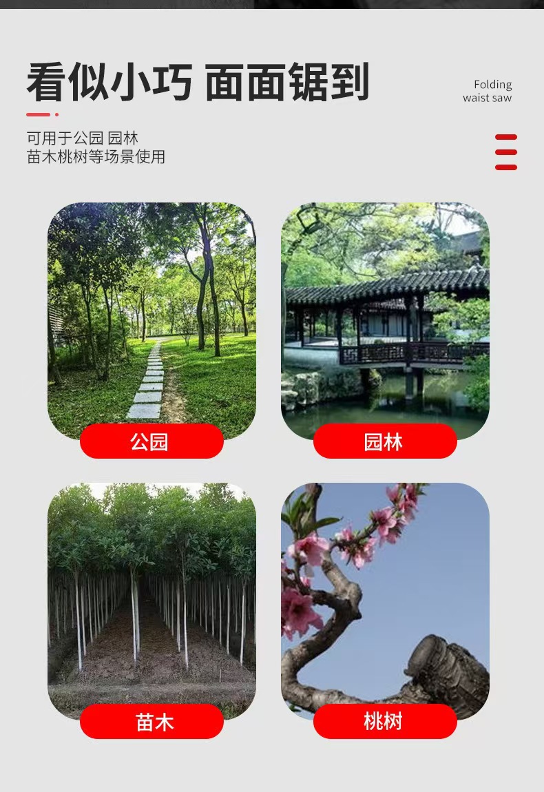 微信图片_202410150923151.jpg