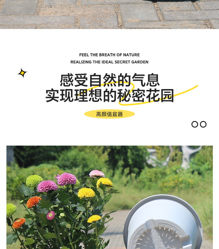 1f70d4f9-e40b-4075-a5d1-79bc1fcc34b5.jpe