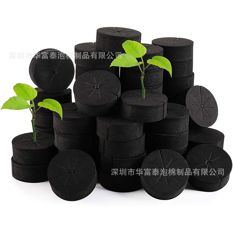 种植海绵 (11).jpg