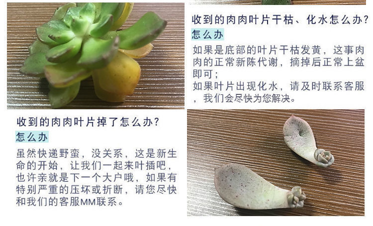 ed041c9e-1e3d-4e77-90cb-98d7d6c12a59.jpe