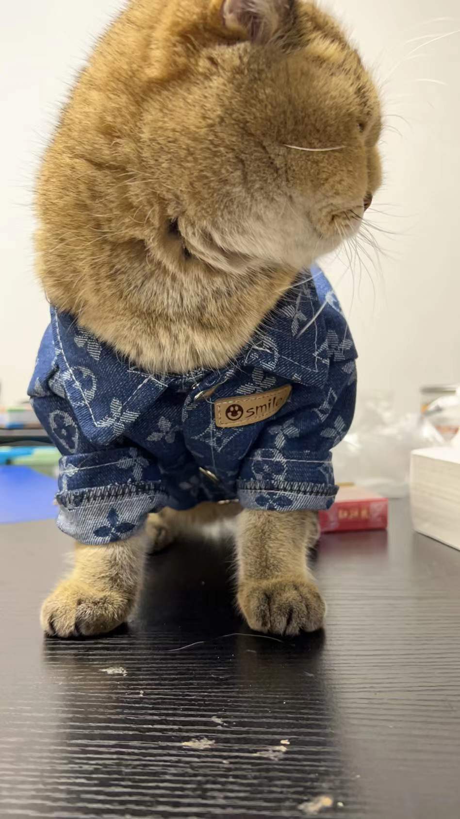 ec533075f6a34cb67f4e23474d8ef1