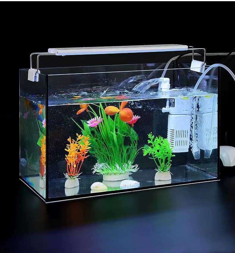 bbcd2d57-ae33-49a8-afa3-cc883b48a11f.jpe