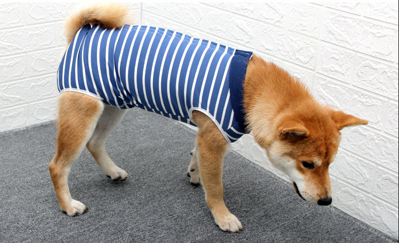 大狗生理服_17.jpg