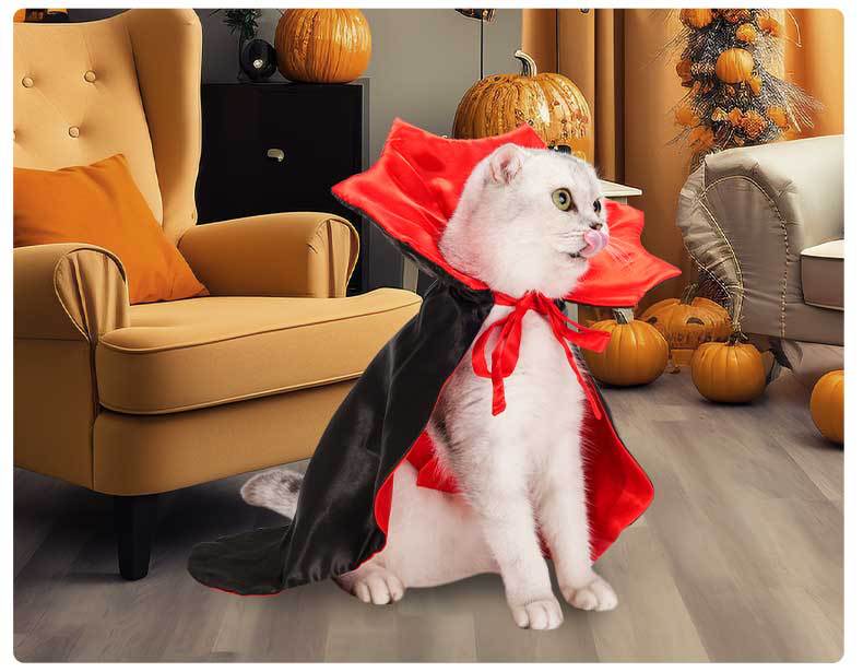 宠物万圣节披风-14.jpg