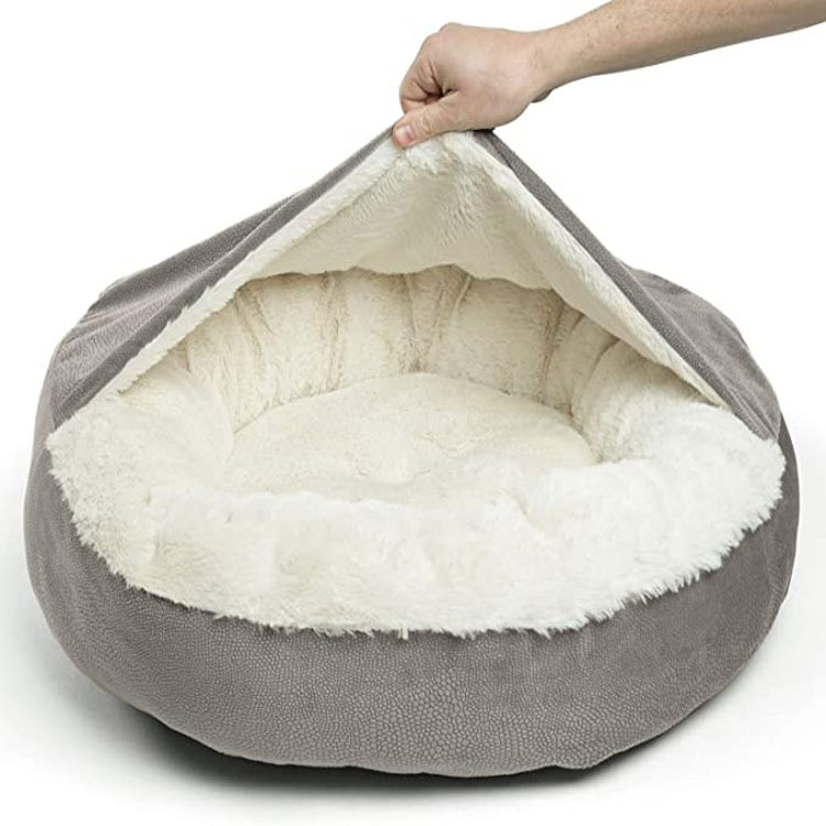 71BkPEd1ZcL._AC_SX679_