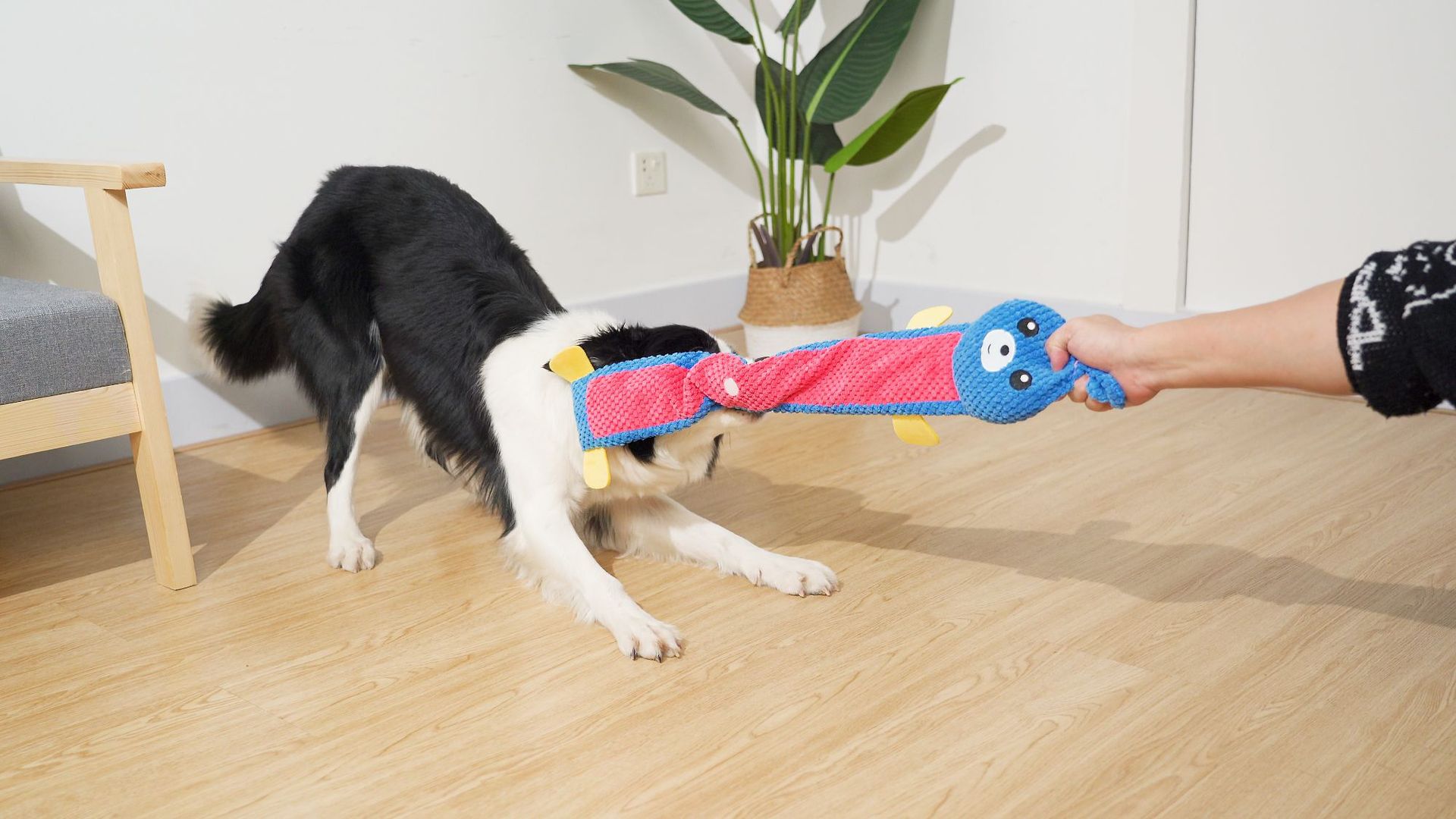 觅食兔子 (20).jpg