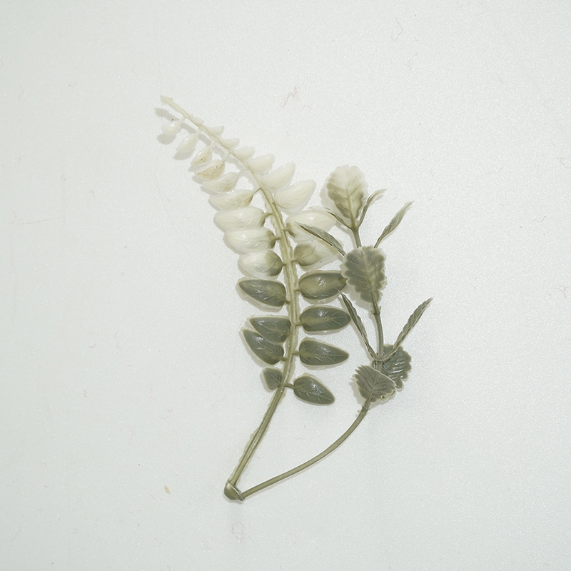 两叉波斯草灰白