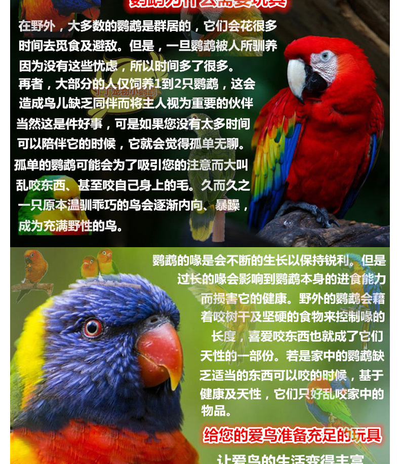 d534d2dc-4454-41eb-8e42-c99a4e84ae33.jpe