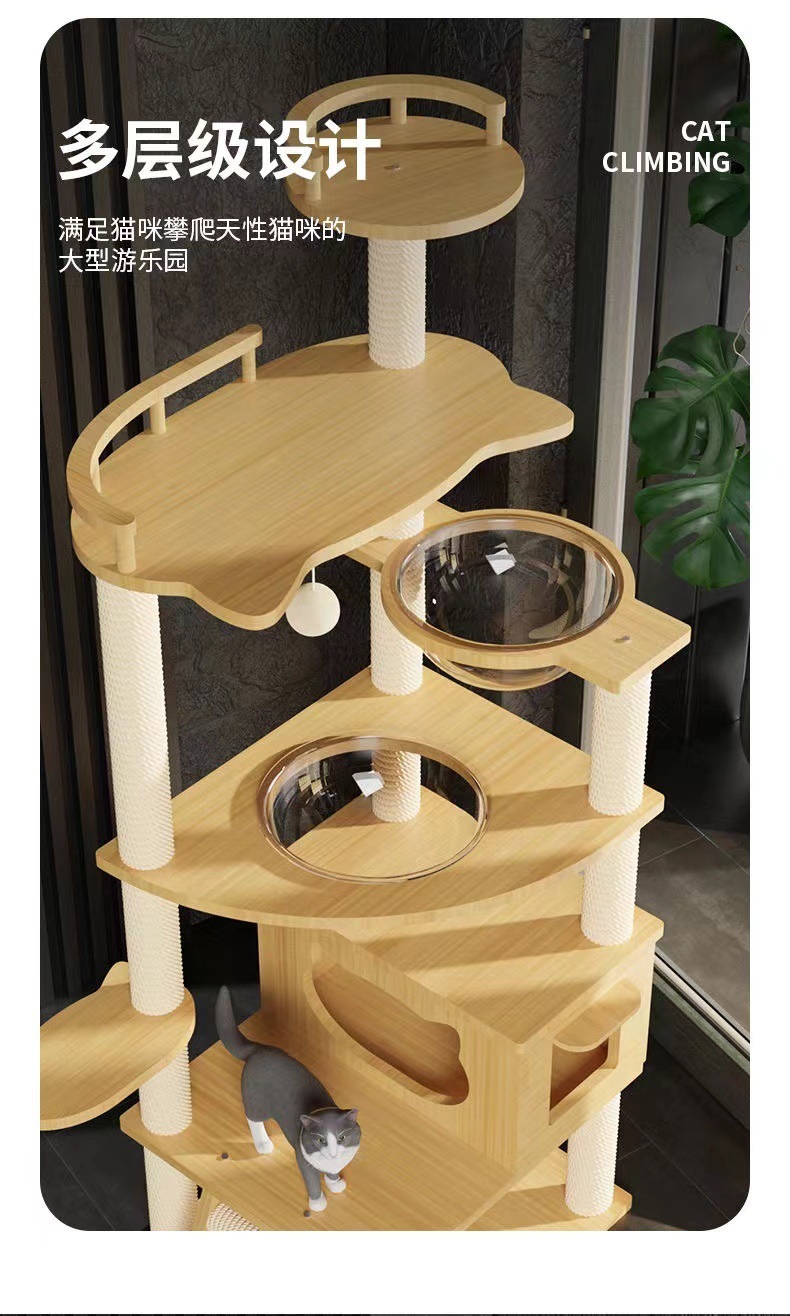 cfe5dc25-83d0-4aae-872c-5674c21b22da.jpe