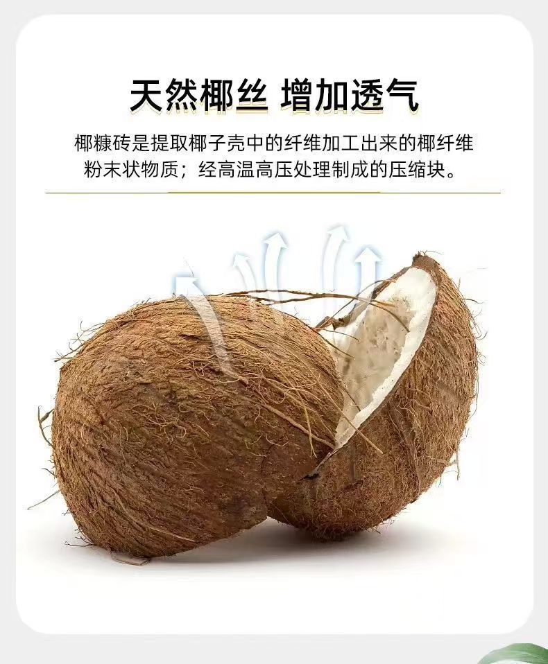 e628e11c-e75c-4516-ba3a-454a3379f1da.jpe