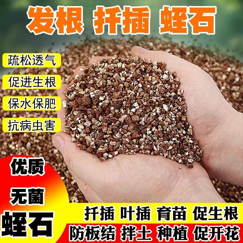 ec08aa03-d15b-4db3-b020-3b369d2ed366.jpe