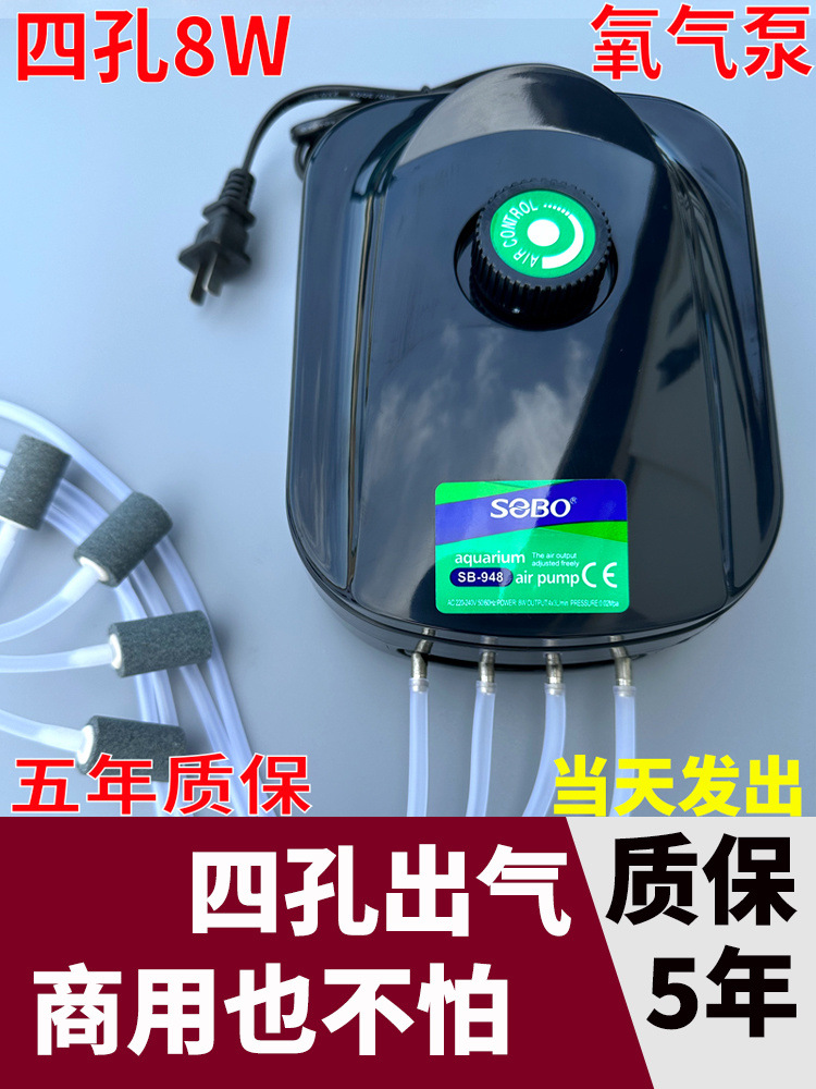 48d8e337-cd34-46cd-817b-565407c72251.jpe