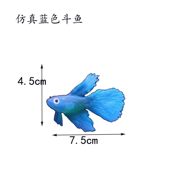 蓝色斗鱼尺寸.jpg