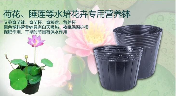 微信图片_20221008153853.jpg
