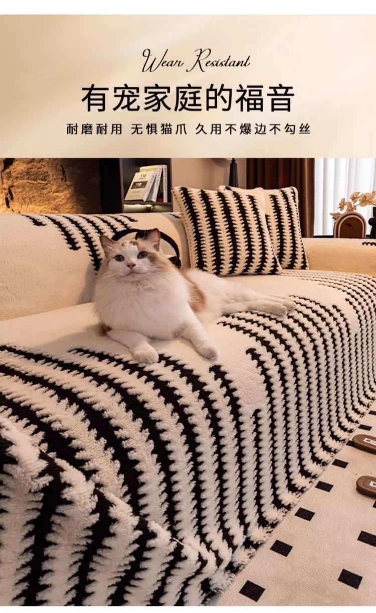 1076b227-4879-4c1c-99f8-4b5302d19cda.jpe