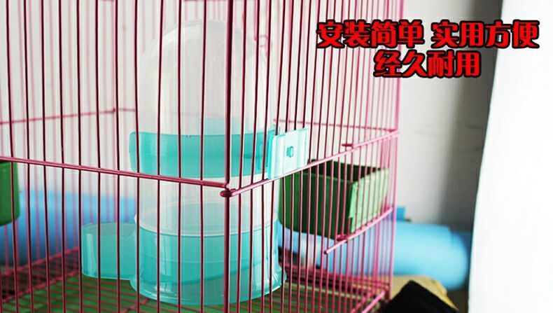 20faa21c-c0d9-41a2-8f71-bc4ce28156b4.jpe