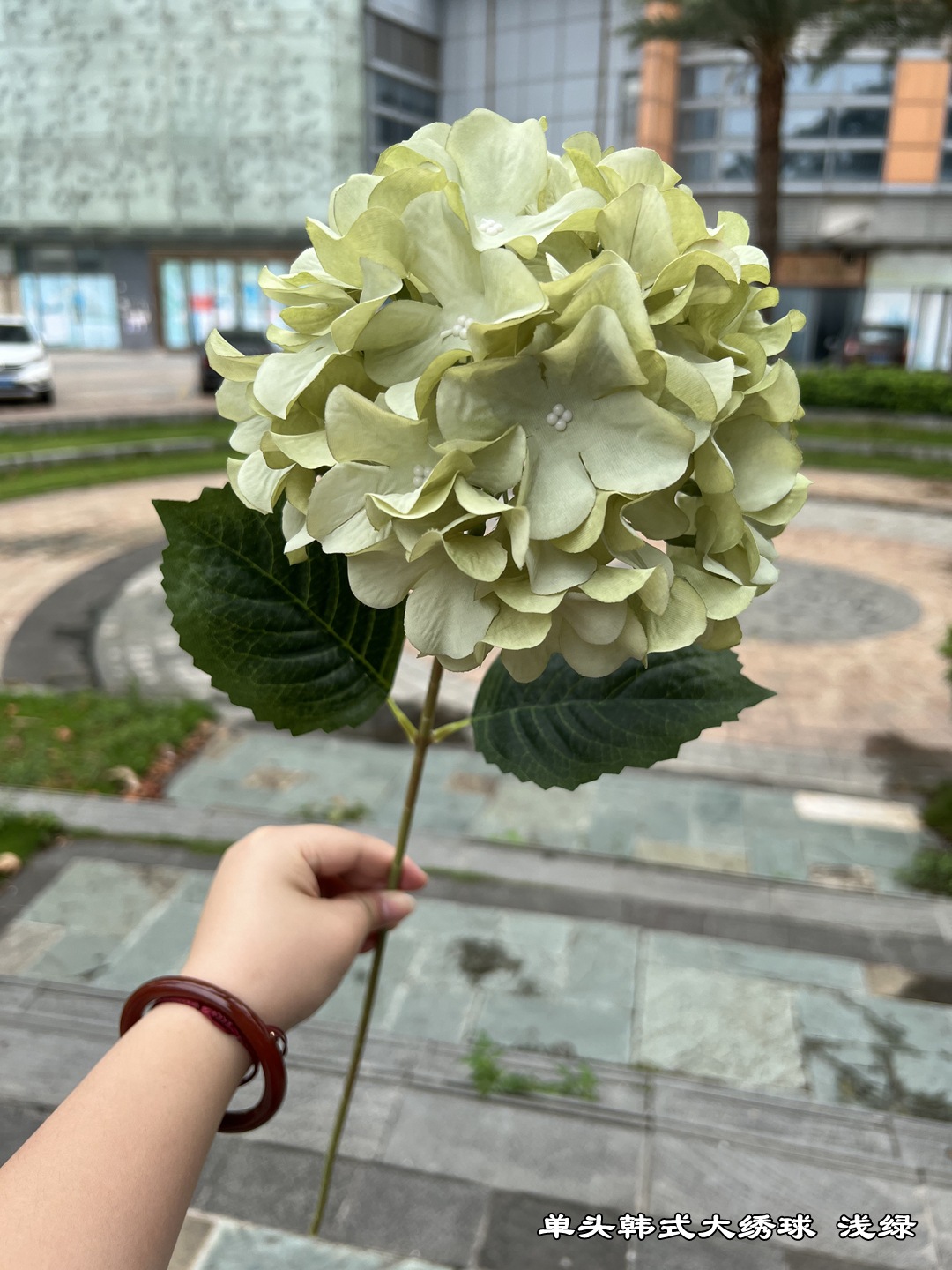 微信图片_20220519112903