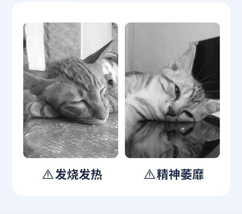 5f383205-9a8f-4603-8a65-eb292595178a.jpe