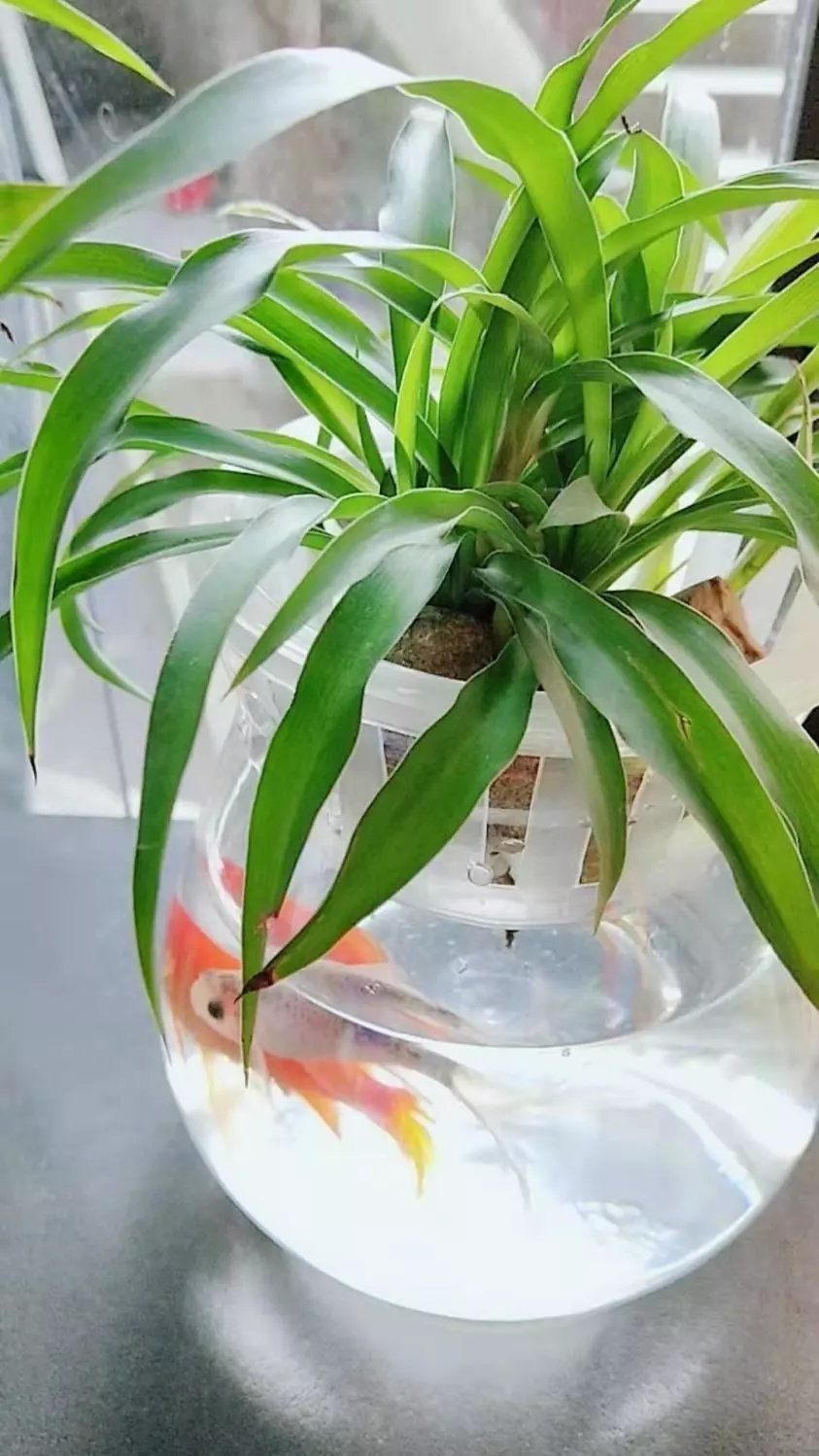 53a9a703-d0e1-4155-8297-b8a2a9e3db0c.jpe