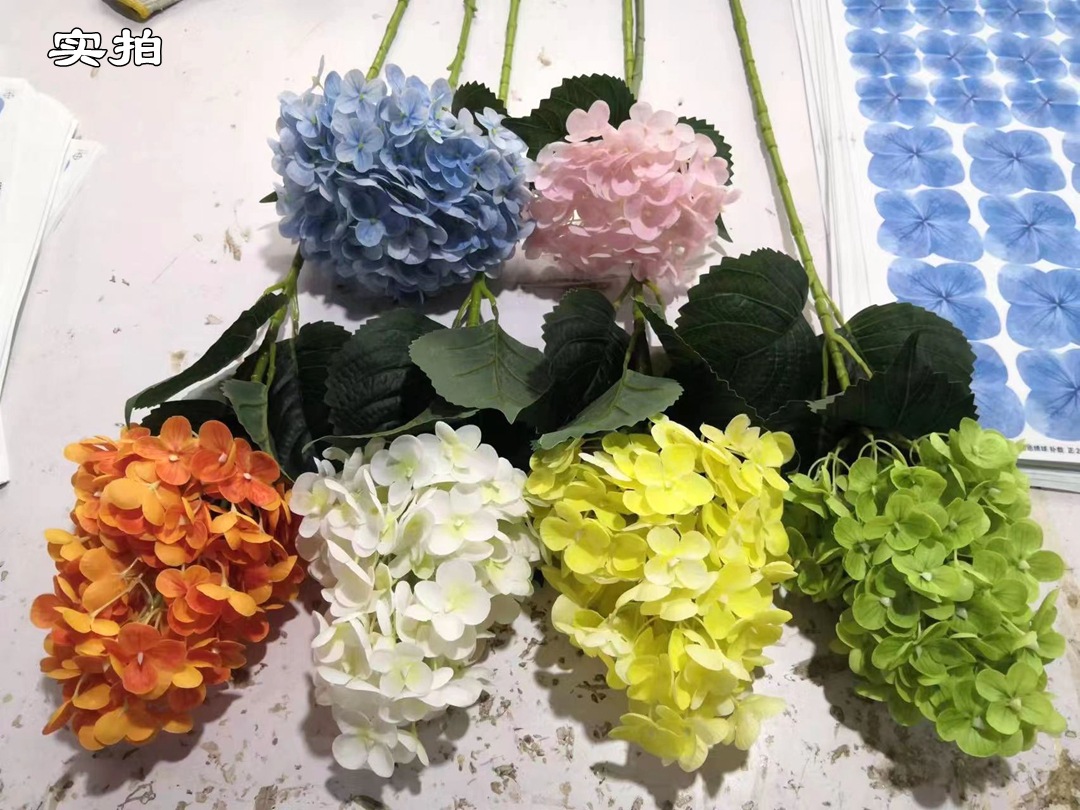 微信图片_20220727125823