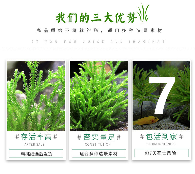 db7080fe-654a-43af-a224-c87199b35ab7.jpe